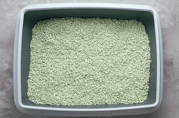 Finding the Best Tofu Cat Litter: Simplifying Eco-Friendly Cat Care